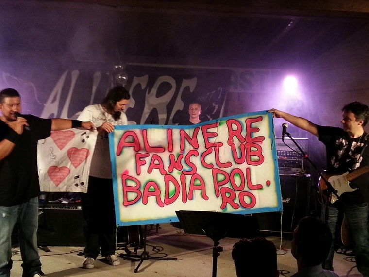 alinere story